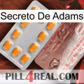 Adams Secret new13